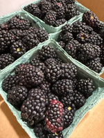 Indiana Blackberries