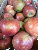 Jonagold Apples BU