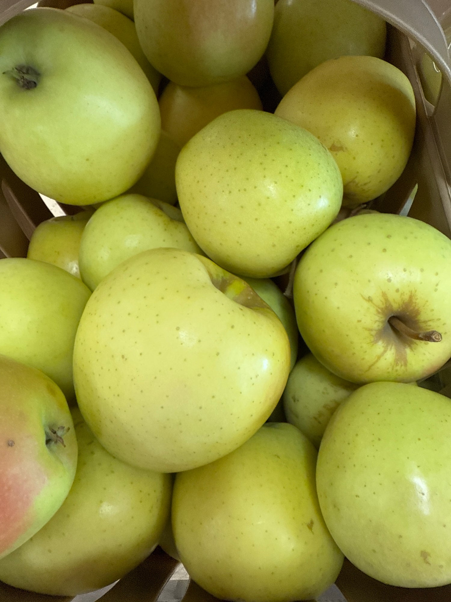 Golden Supreme Apple BU