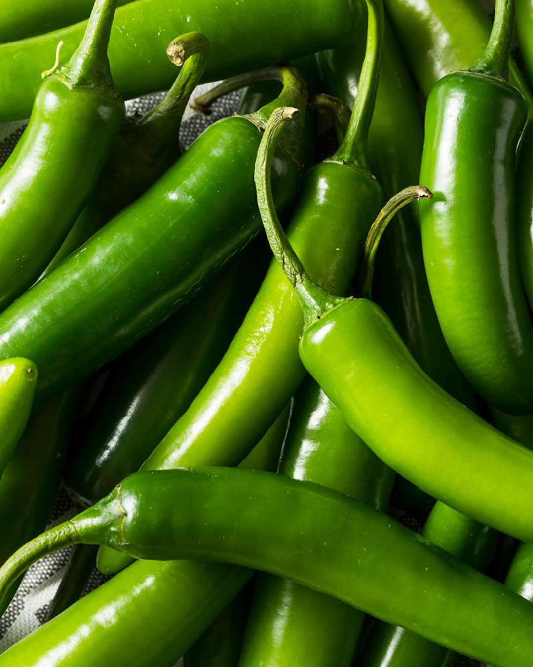 Indiana Serrano Peppers – 1/2 Bushel