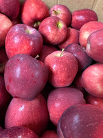 Red Delicious Apple BU