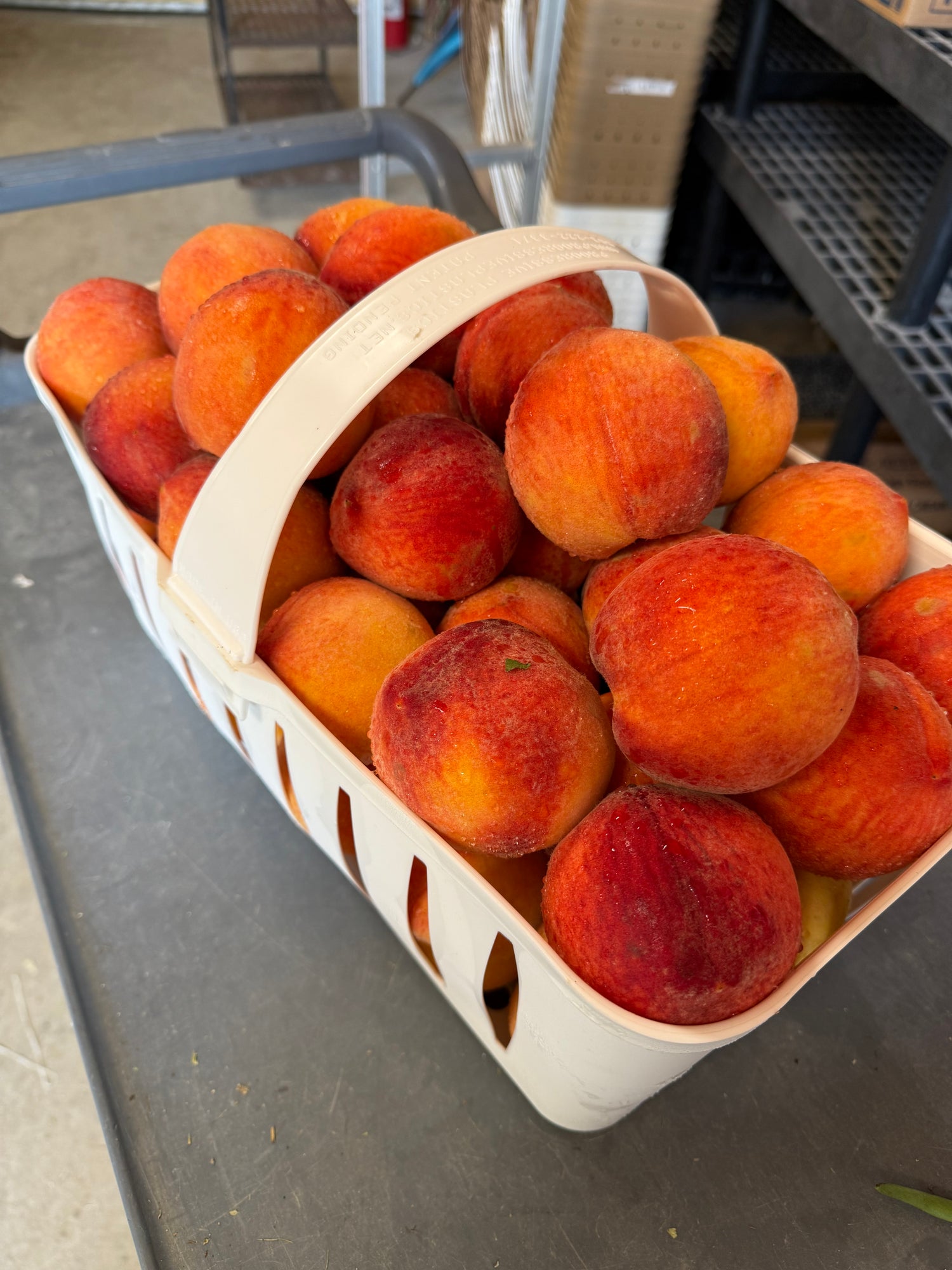 South Carolina Freestone Peaches 1/2 BU