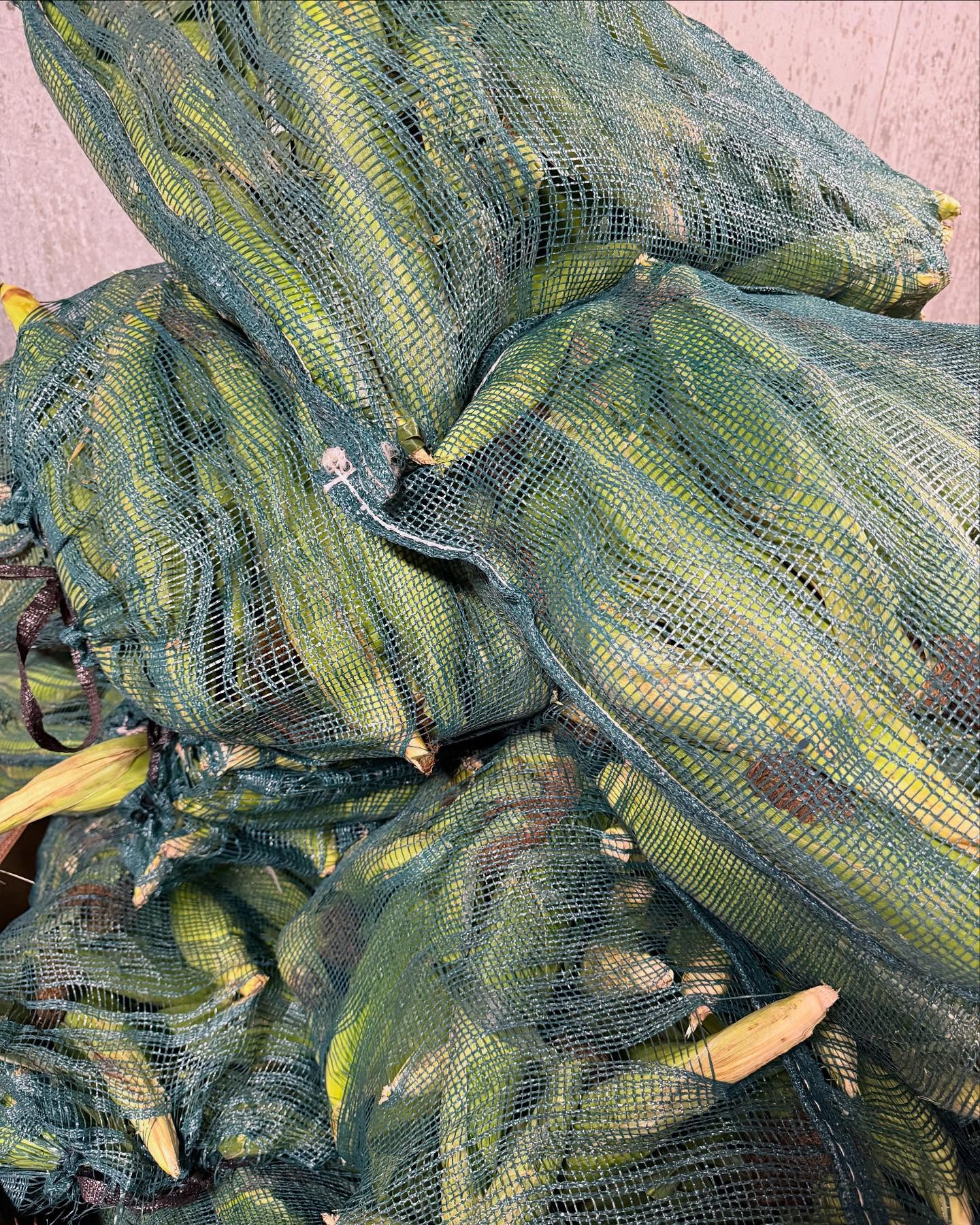 Indiana Bicolor Sweetcorn bag (4 doz)