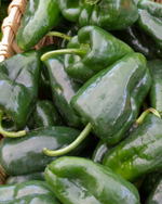 Indiana Poblano Peppers β 1/2 Bushel