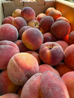 Indiana Red Haven Freestone Peaches 1/2 BU