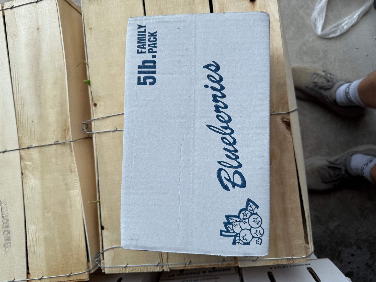 Indiana Blueberries 5lb box