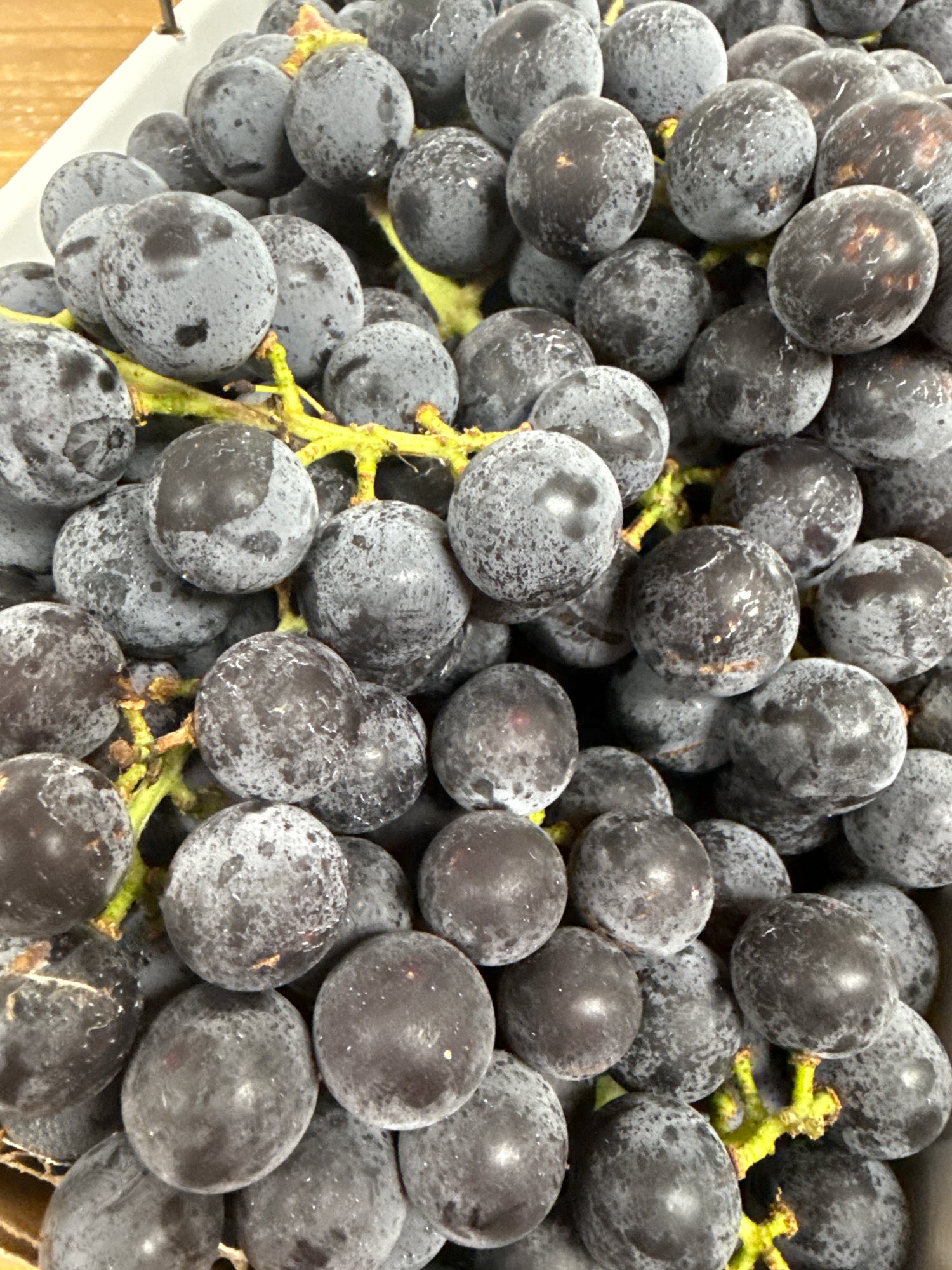 Concord Grapes - 12.5lb Box