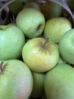 Golden Delicious Apples BU
