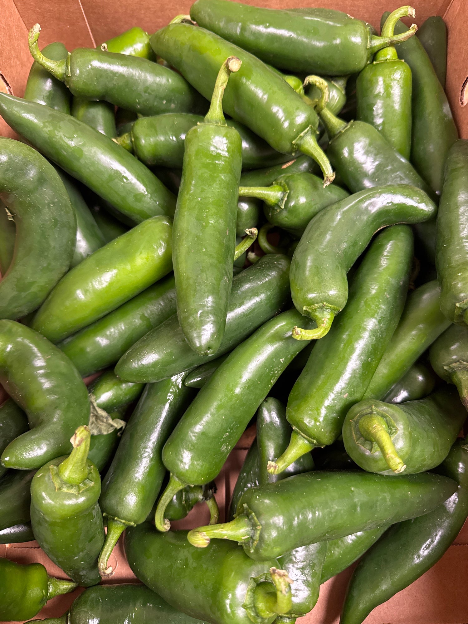 Indiana Jalapeño peppers 1/2 BU