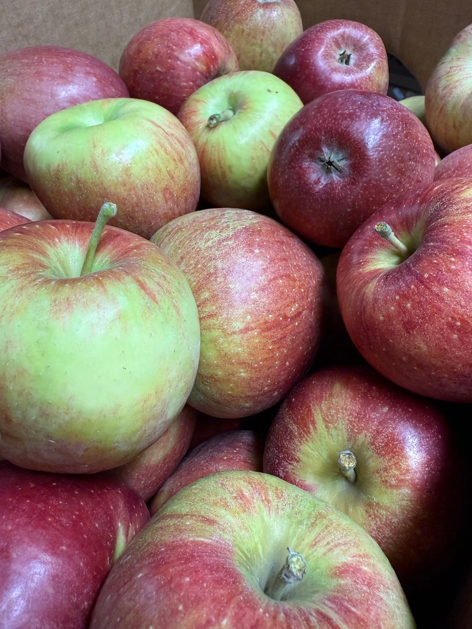 Braeburn Apples BU