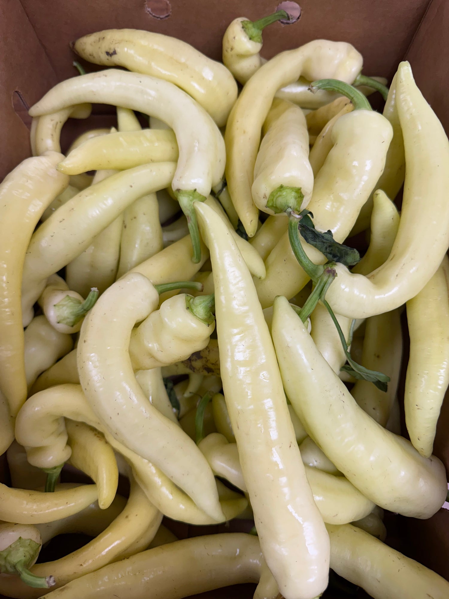 Indiana Sweer Banana peppers 1/2 BU