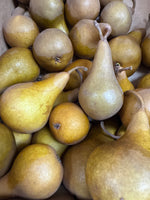 Bosc Pears 1/2 BU