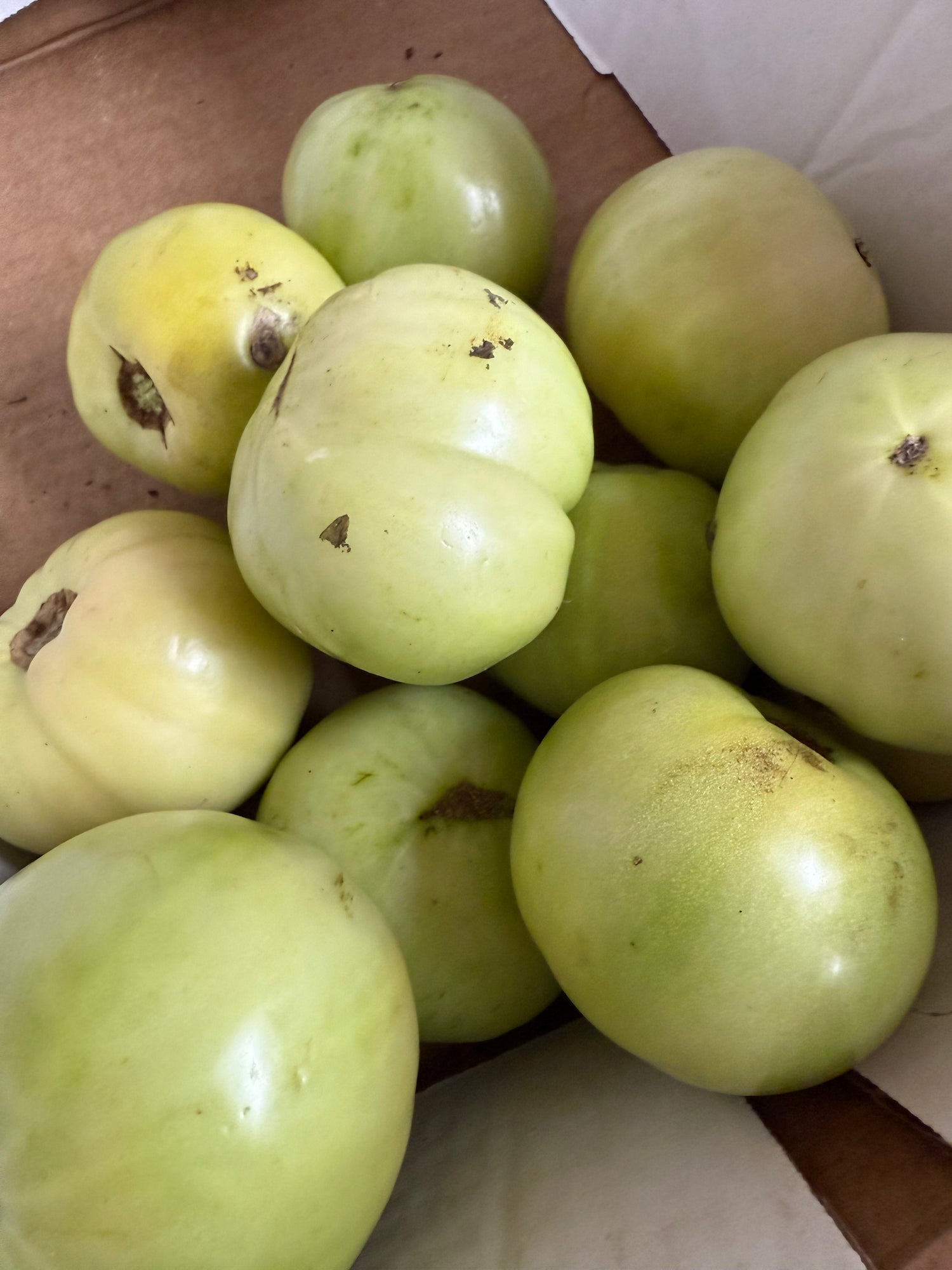 Indiana Green Tomatoes 1/2 BU