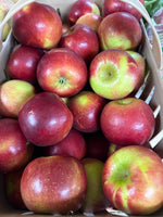 Pixie Crunch Apples BU