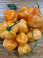 Indiana Habanero Peppers – 8lb Box