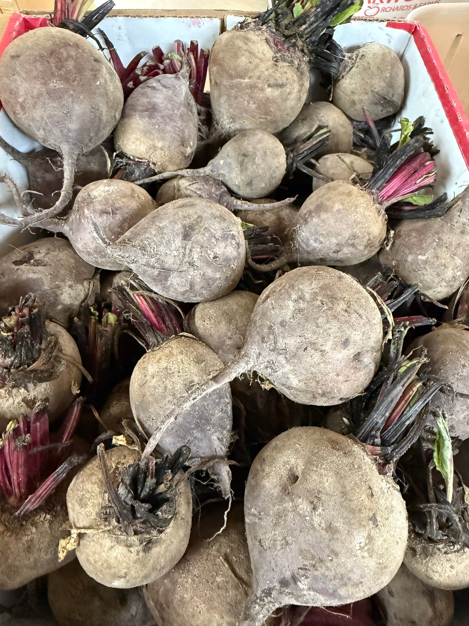 Indiana Beets 1/2 BU