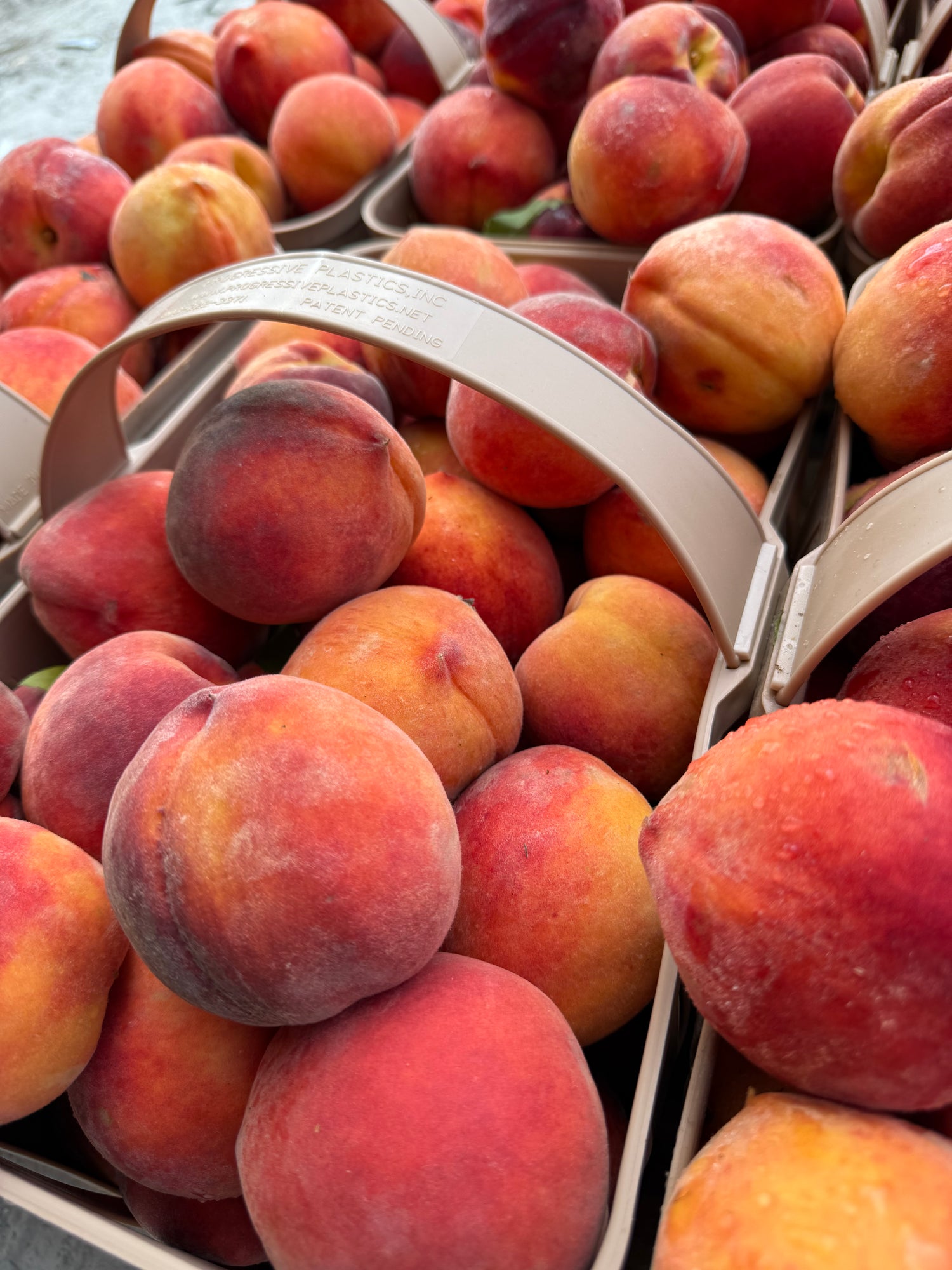 South Carolina Freestone Peaches 1/2 BU