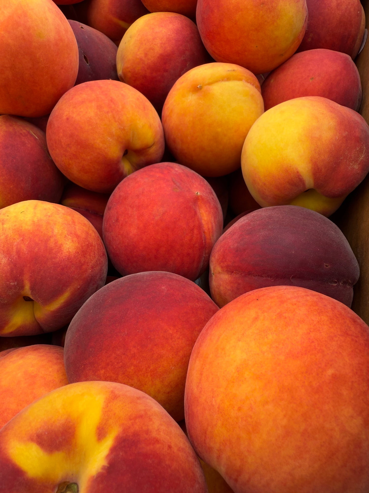 Indiana Red Haven Freestone Peaches 1/2 BU