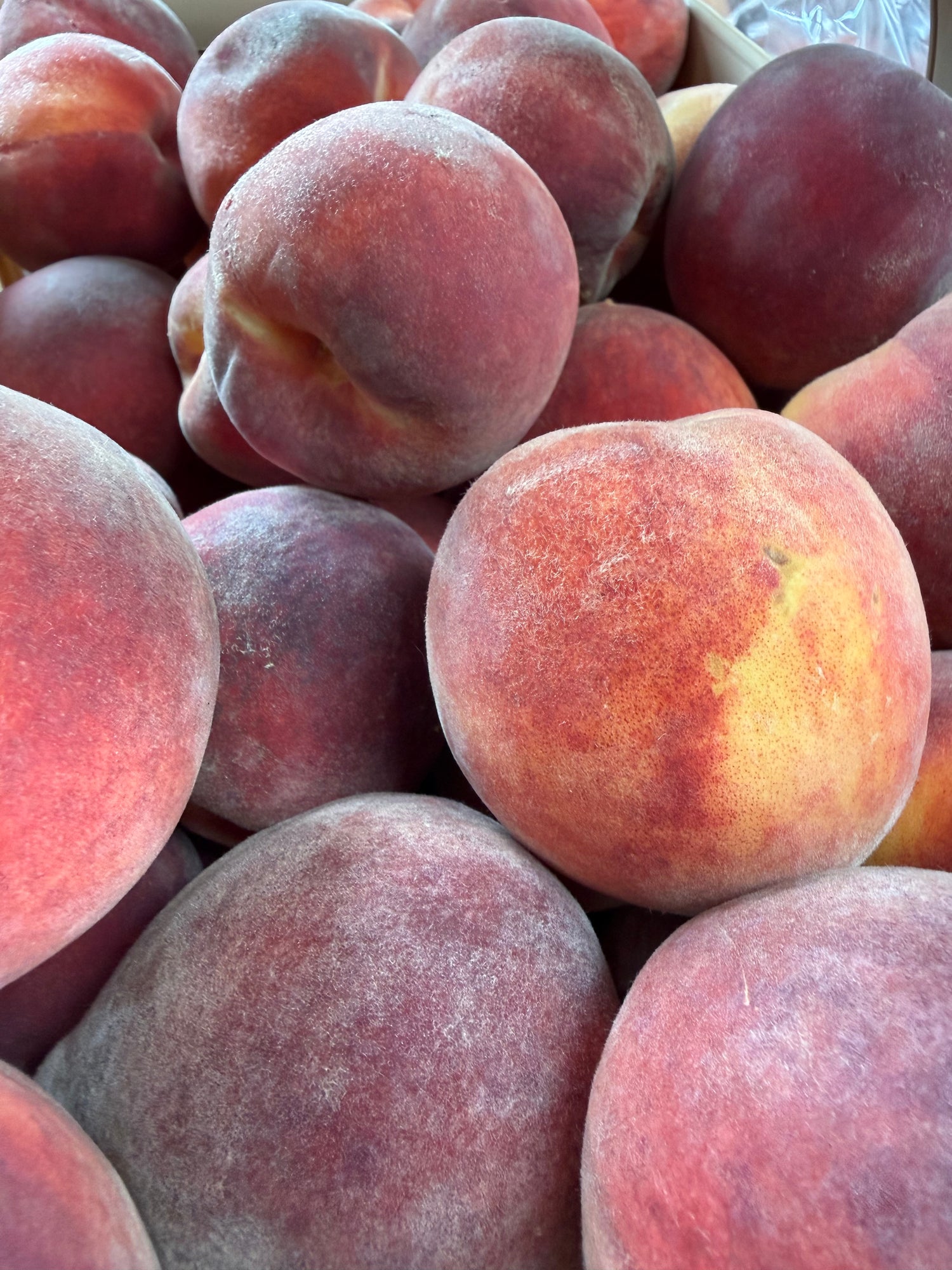 Indiana Red Haven Peaches 20lb box