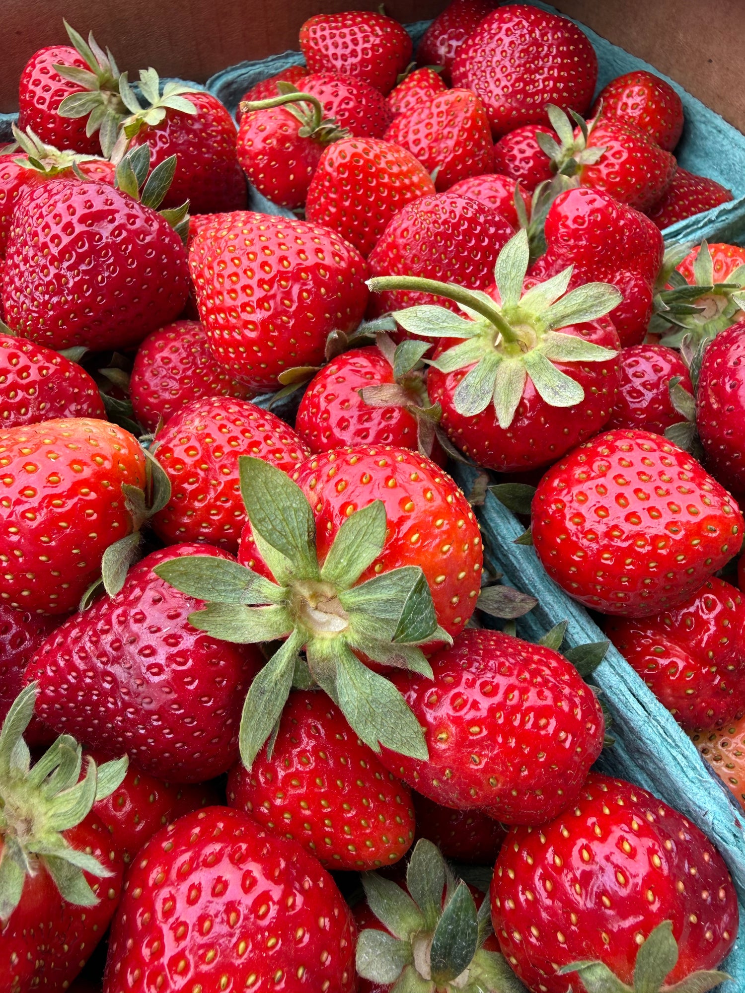Indiana Strawberries