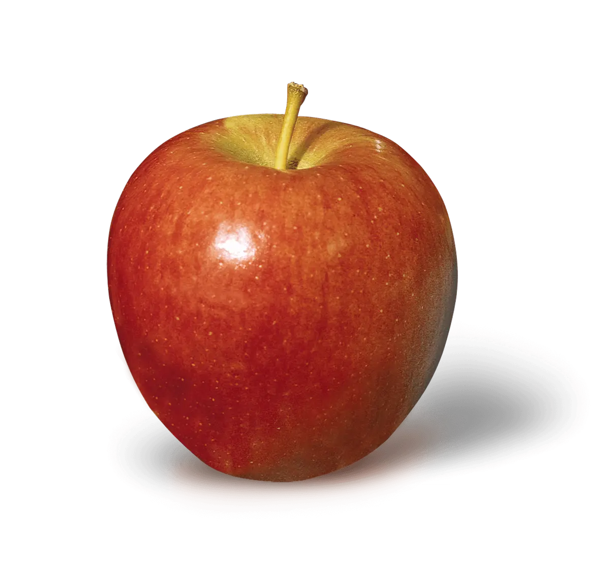 Braeburn Apples BU