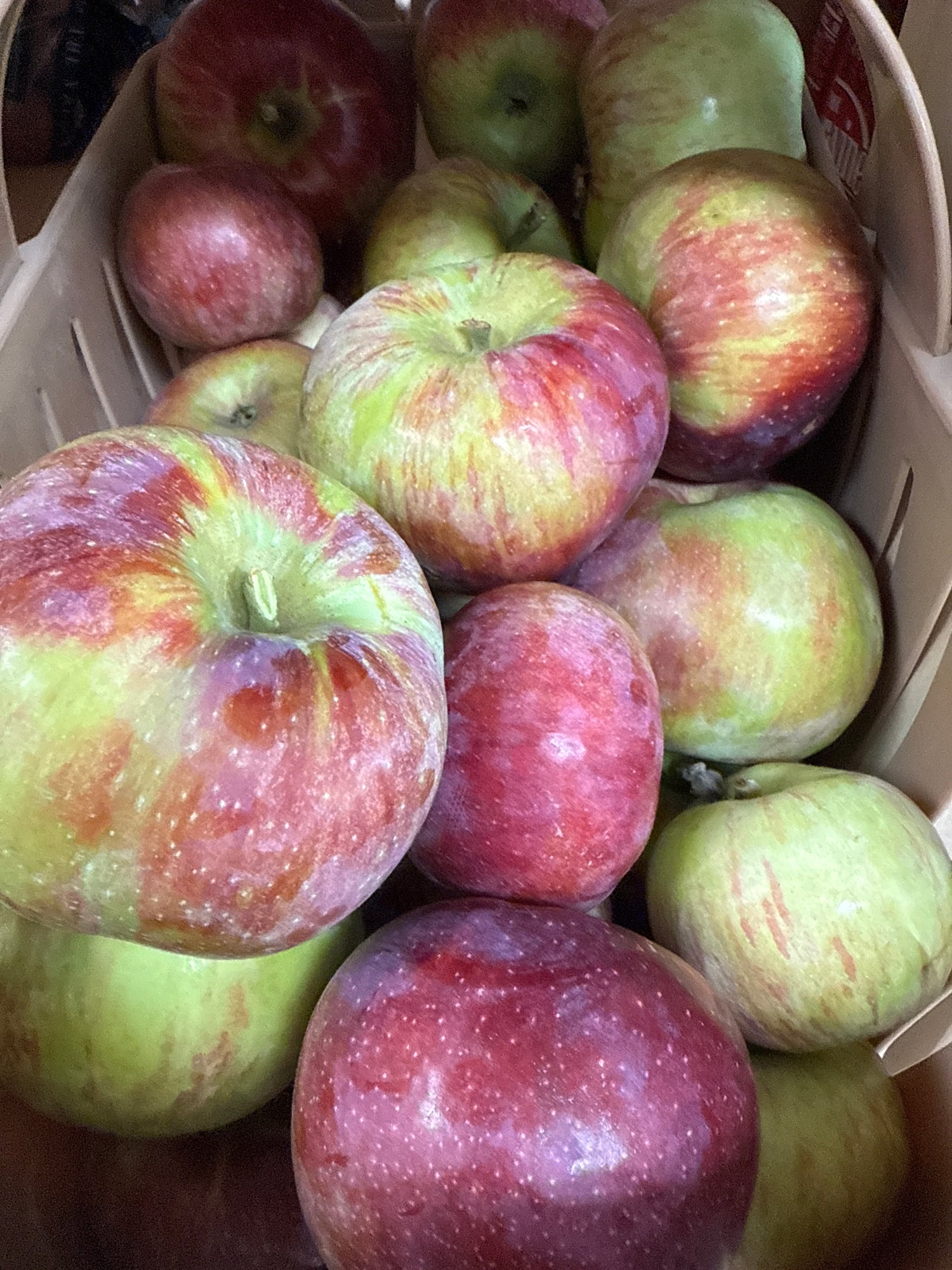 Cortland Apples BU