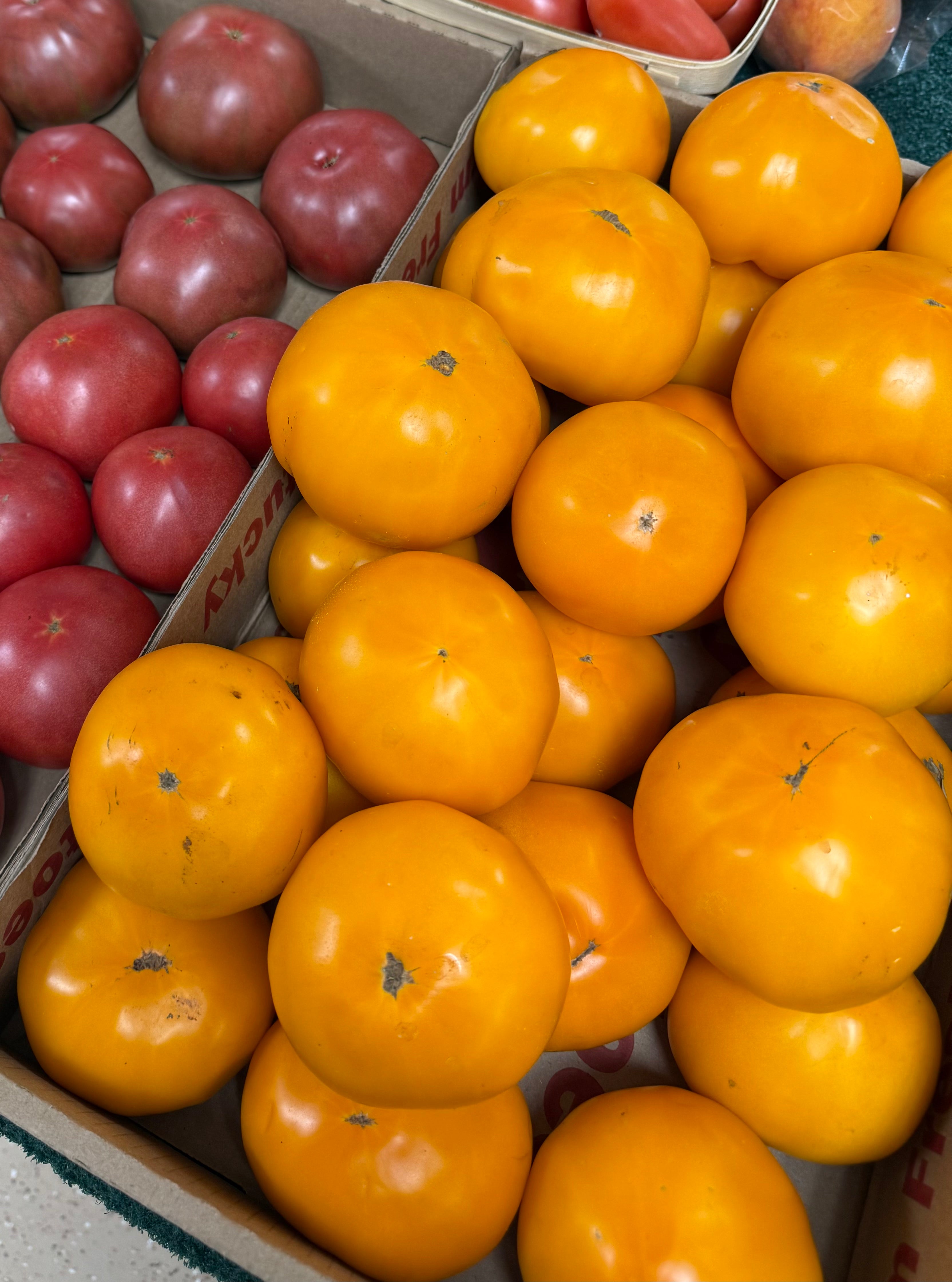 Indiana Yellow Tomatoes – Fresh 10 lb Bulk | Gatewood Farm