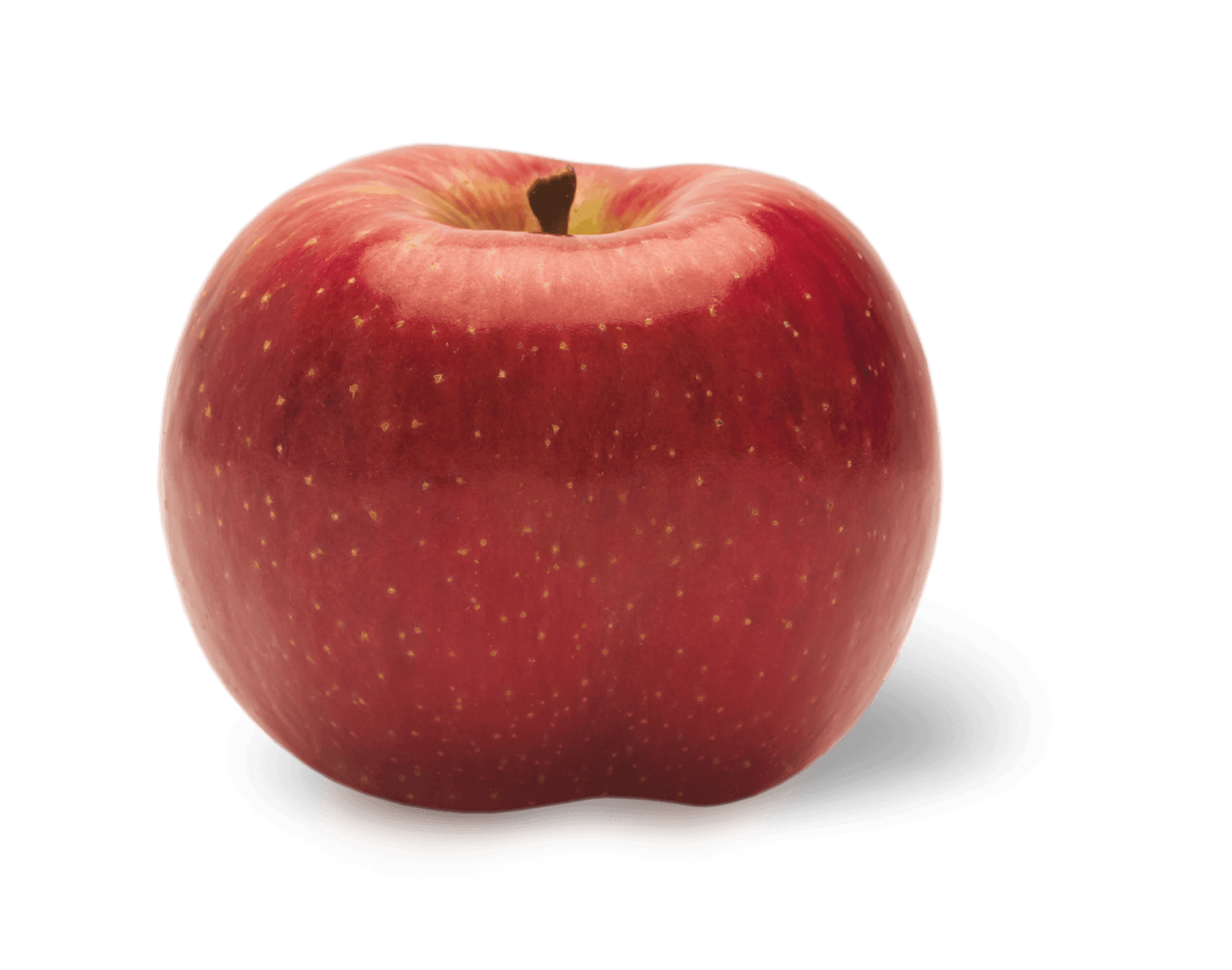 Evercrisp Apples BU