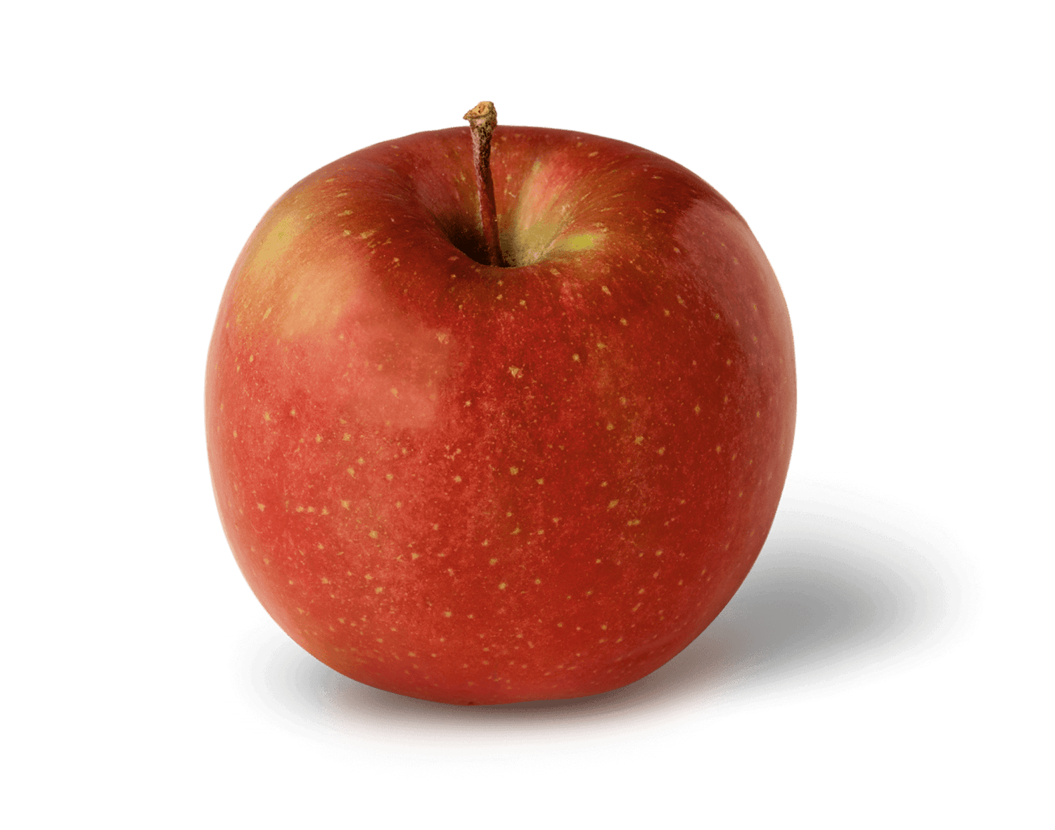 Fuji Apples BU
