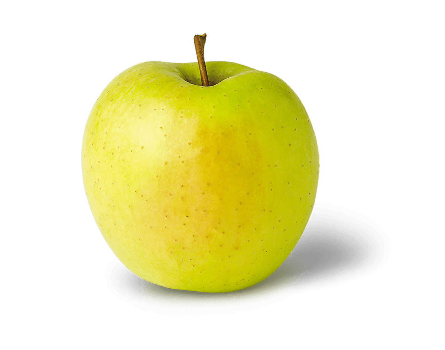 Golden Delicious Apples BU