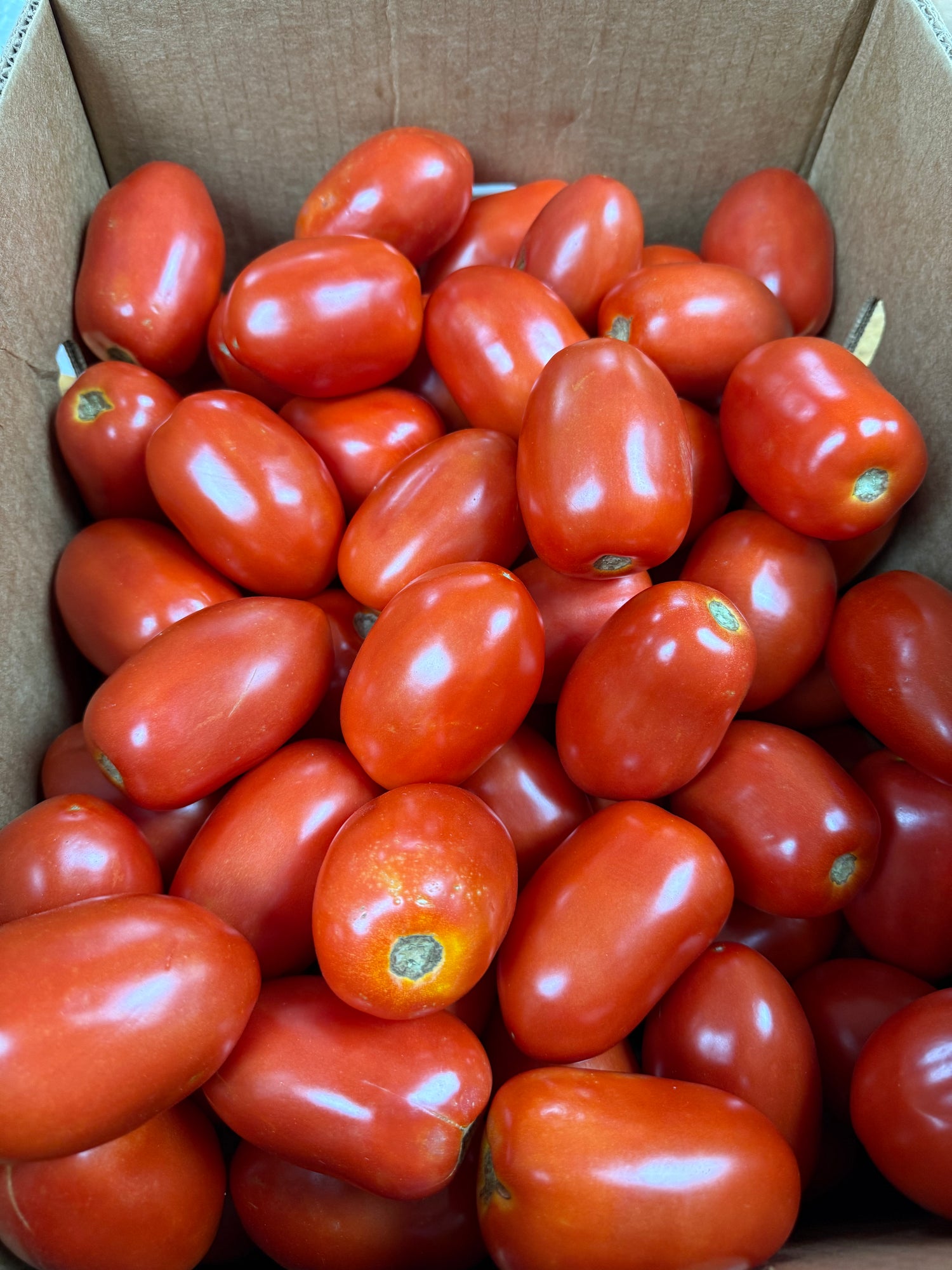 Michigan Roma Tomatoes – 25 lb