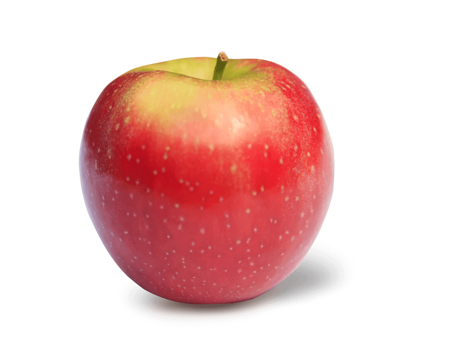 Snap Dragon Apples BU