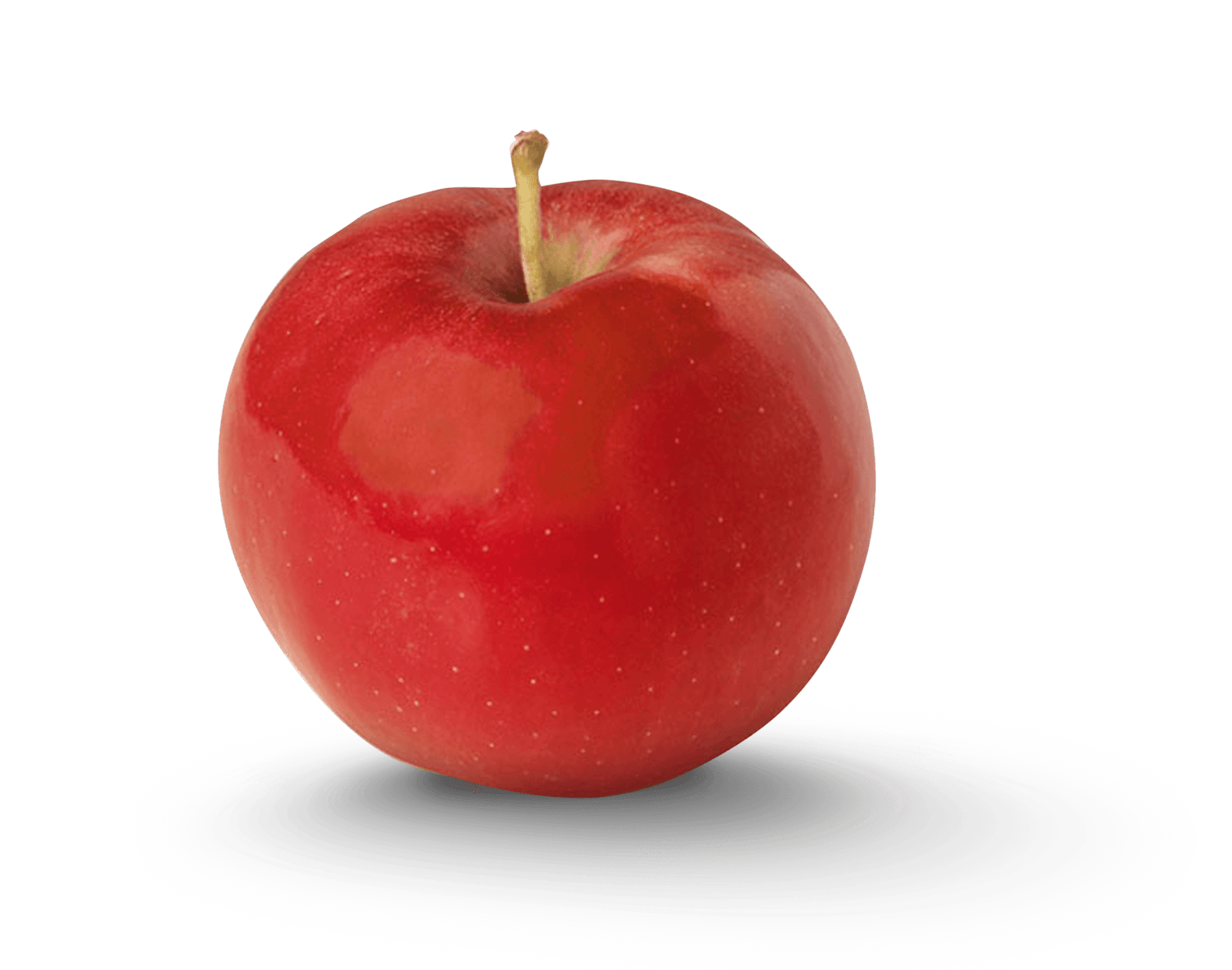 Ida Red Apples BU