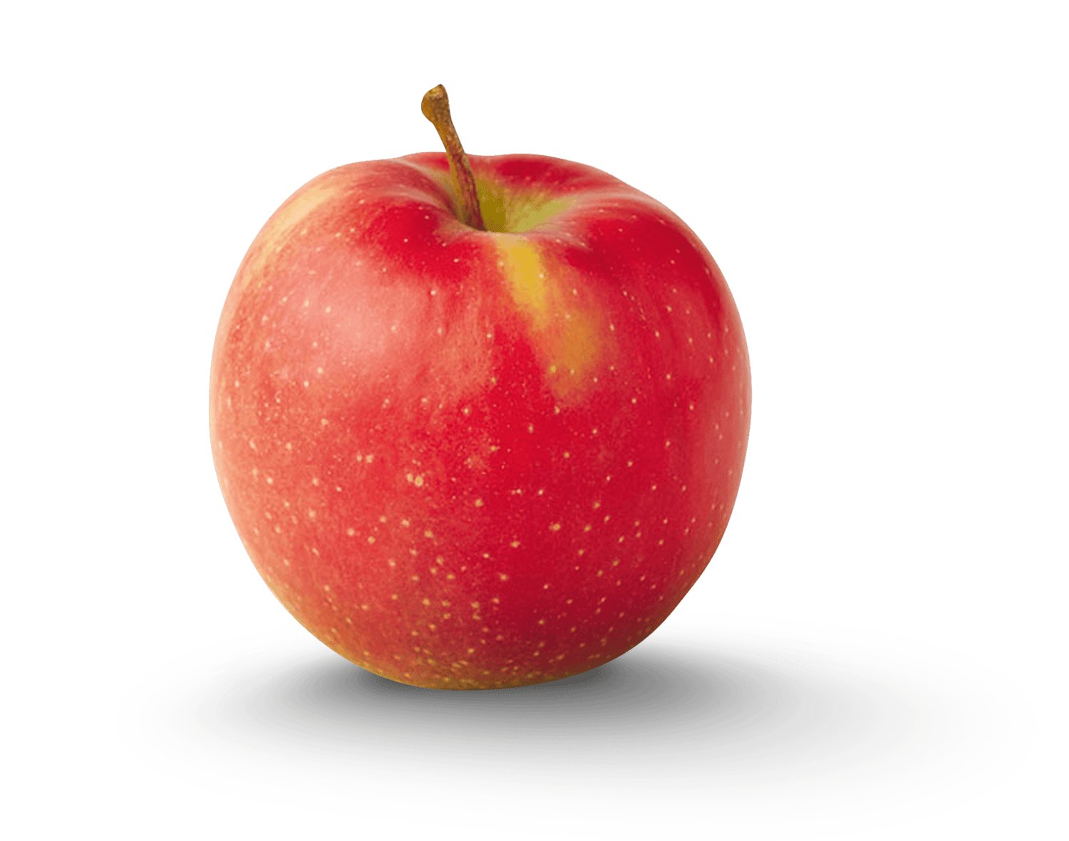 Jonagold Apples BU