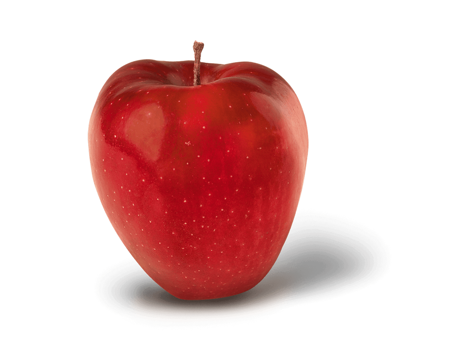 Red Delicious Apple BU