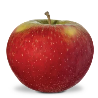 Rosalee Apples BU