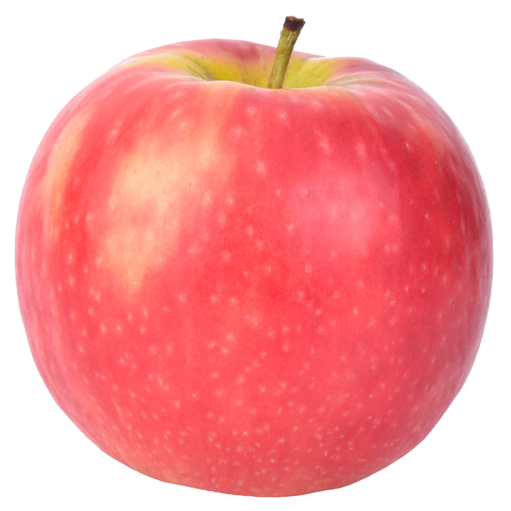 Pink Lady Apples BU