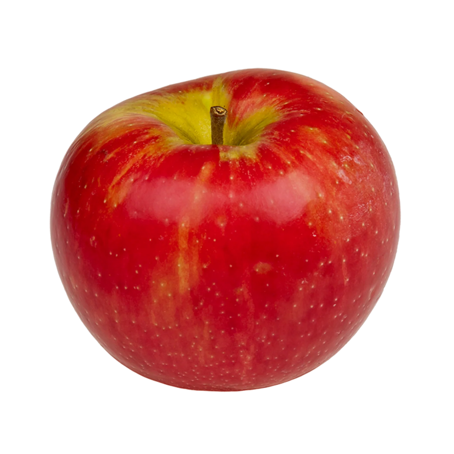 Summerset Apples BU