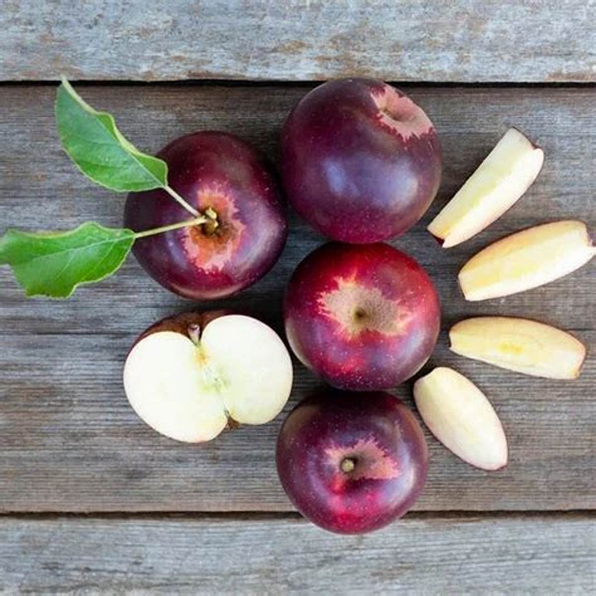 Arkansas Black Apple Tree